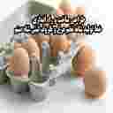 ظروف لبنی شاه صنم