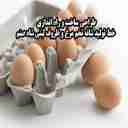 ظروف لبنی شاه صنم، طراحی ساخت و راه اندازی خط تولید شانه تخم مرغ در کرج