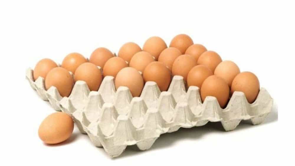 Egg packaging container