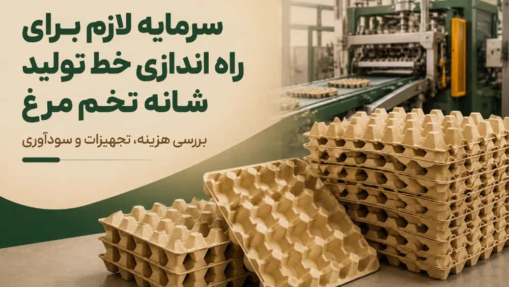 سرمایه لازم برای راه اندازی خط تولید شانه تخم مرغ