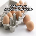 Shah Sanam dairy dishes