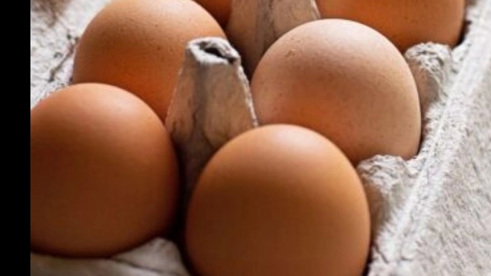 شانه تخم مرغ و روش تولید آن شانه تخم مرغ و روش تولید آن